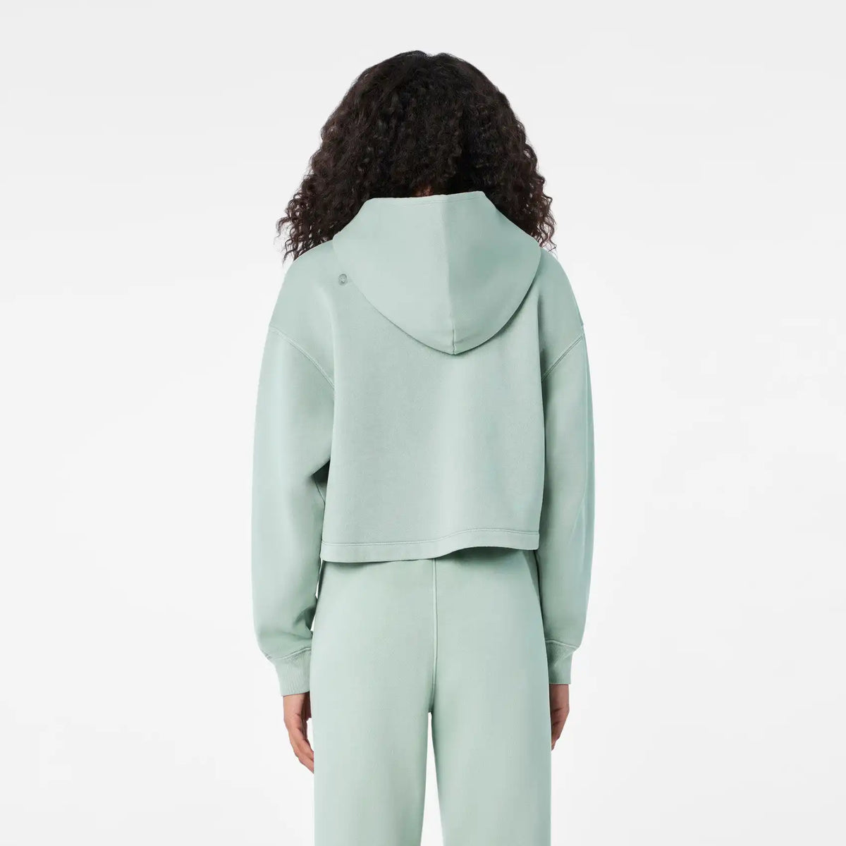 Hayden Vintage Wash Cropped Hoodie Sweatshirt